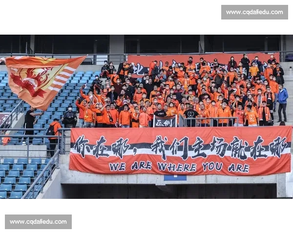 石家庄对阵武汉城市实力碰撞引发全国关注的焦点之战新赛季巅峰较量